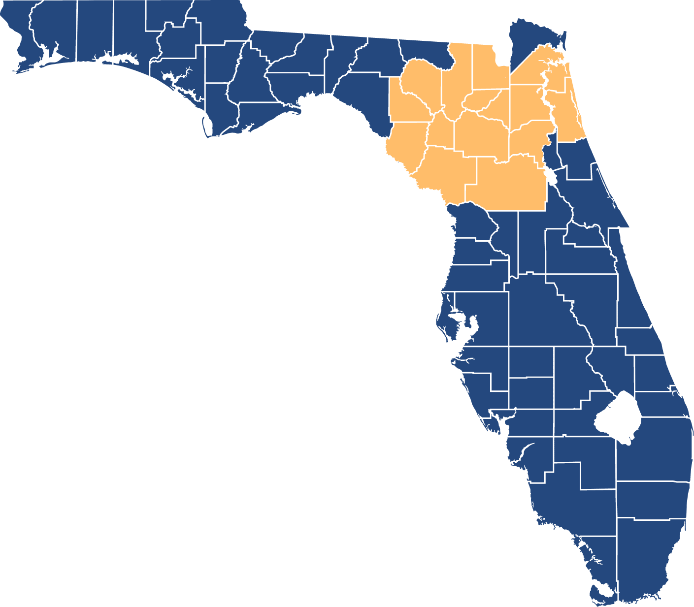 blue image of florida with several counties highlighted in yellow